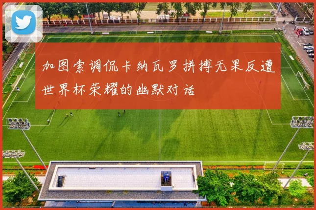 加图索调侃卡纳瓦罗拼搏无果反遭世界杯荣耀的幽默对话