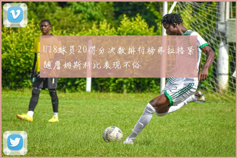 U18球员20得分次数排行榜弗拉格紧随詹姆斯科比表现不俗
