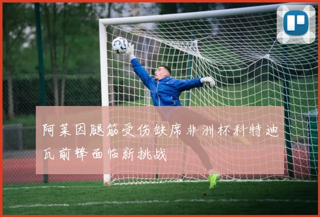 阿莱因腿筋受伤缺席非洲杯科特迪瓦前锋面临新挑战