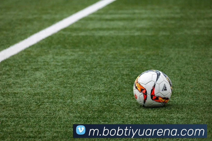 BOB体育发展历程